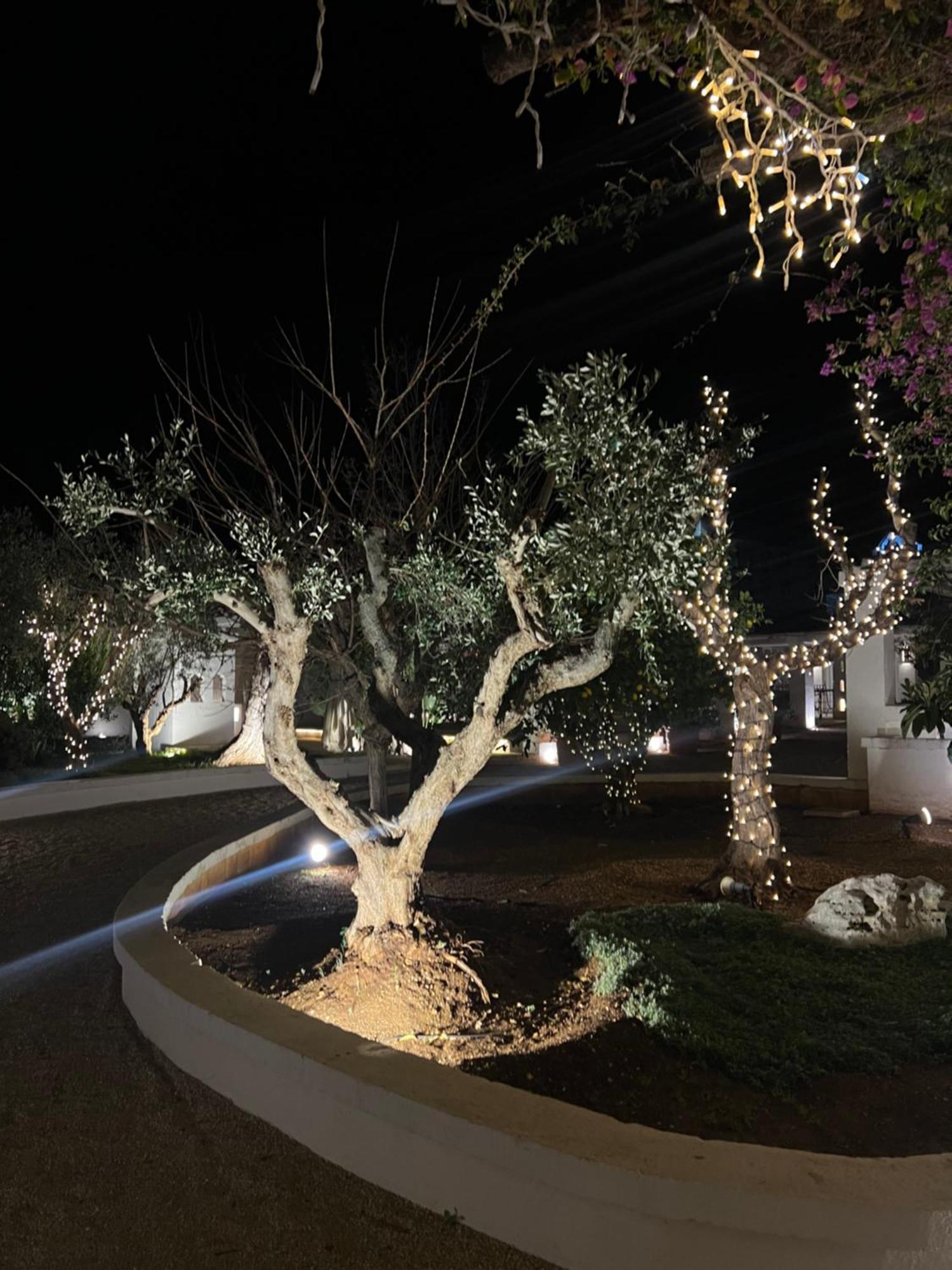 Masseriola Antiche Fogge By Apulia Hospitality Fasano Ngoại thất bức ảnh